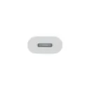 3.webp